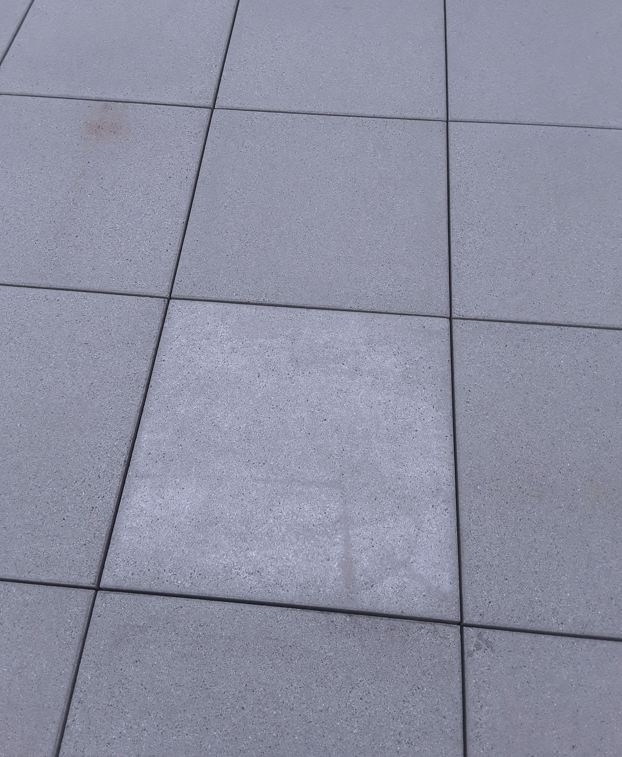 A before image of gray concrete pavers with a tile lighter than the rest due to effloresence.