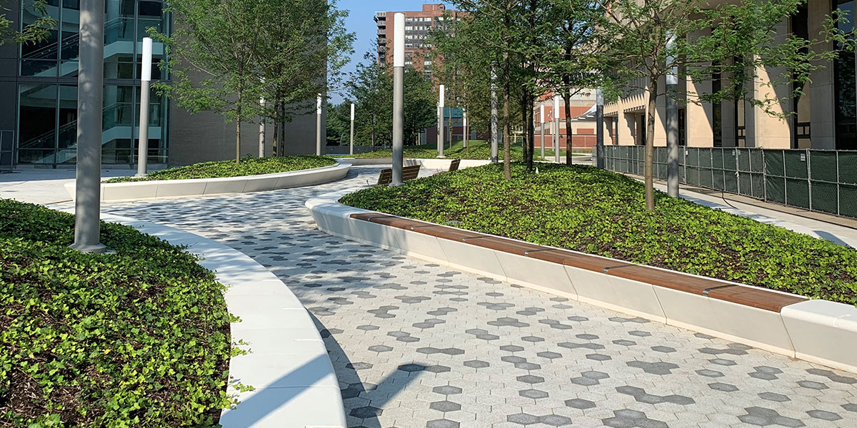 A plaza with hexagonal, gray tiles making a walkway and raised medians with greenery and trees sectioning it off.